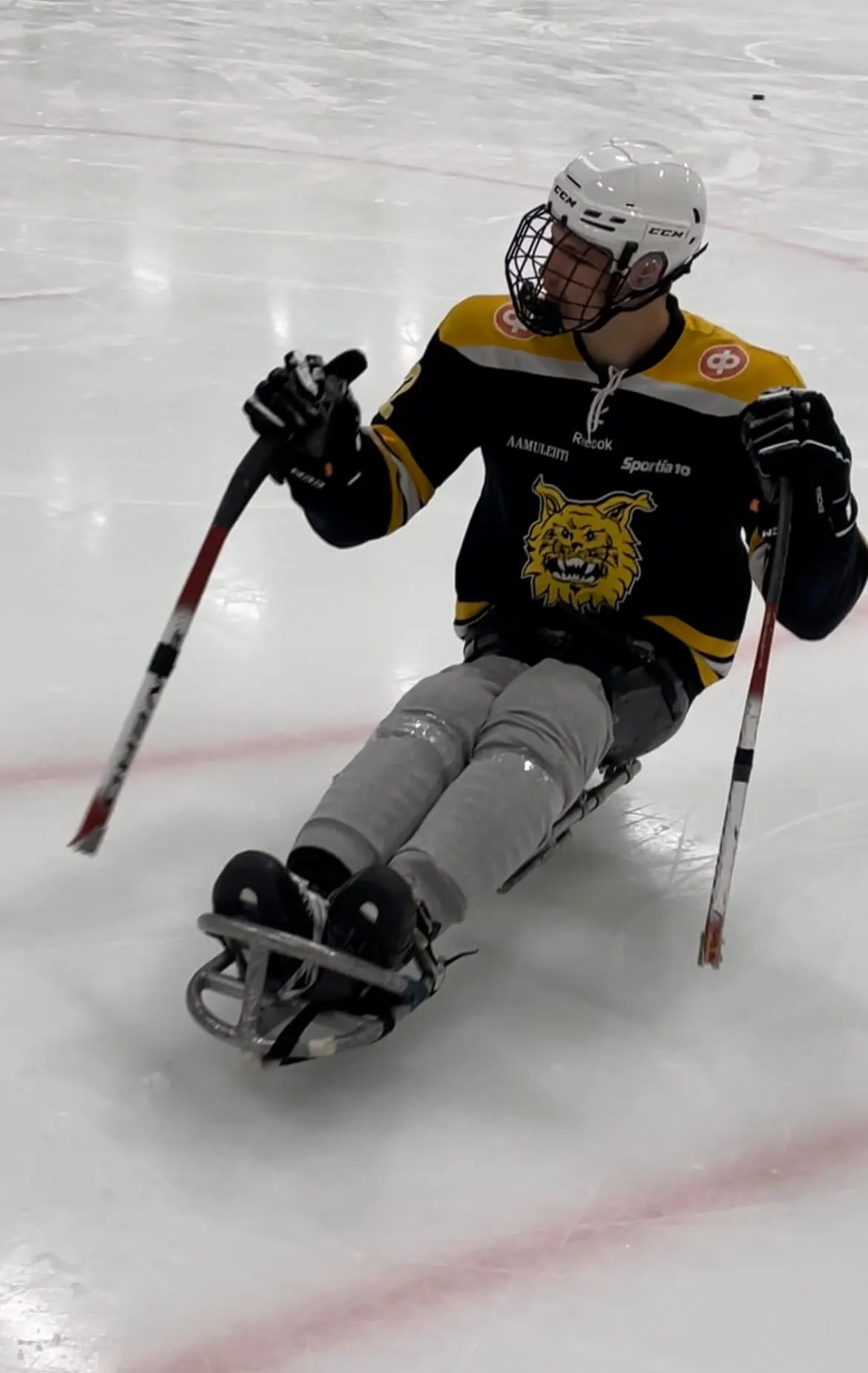 Nemo Pajula Ilveksen vaatetuksessa jäällä parajääkiekkokelkassa ja -varustuksessa.